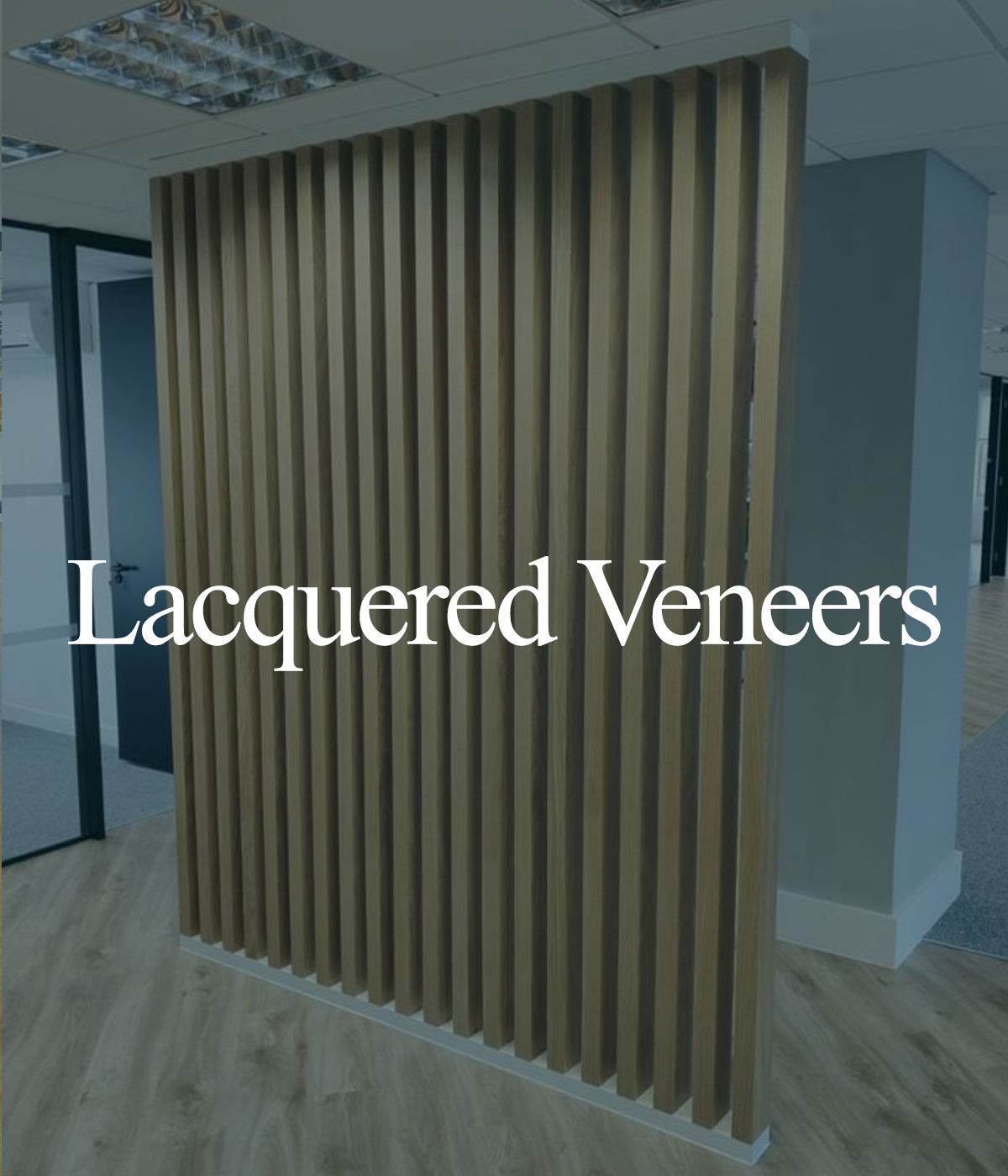 Lacquered Veneers